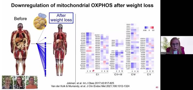 The Evolution of Obesity - Fate vs. Personal Failure | Vumedi