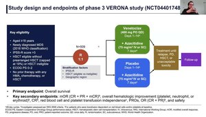 ASH 2025 Highlights: Low- and High-Risk MDS - Emerging Therapies, Novel ...