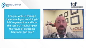 Preclinical Research Might Lay the Groundwork for Vision Restoration in ...