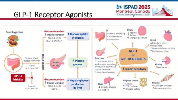 Monogenic Obesity: Diagnostic Approaches and 2025 Management