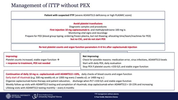TTP Management Without Plasma Incorporating Caplacizumab, Rituximab ...