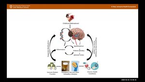 Child Abuse and Neglect: Neurobiological Effects on Brain Development ...