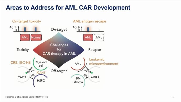 Evolution of CAR-T Cell Therapy in Myeloid Malignancies: Emerging ...