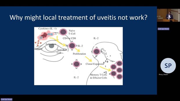 Uveitis Local Therapy: Intravitreal vs Periocular Steroids and ...